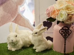 0811 村花弄囍0556 scaled