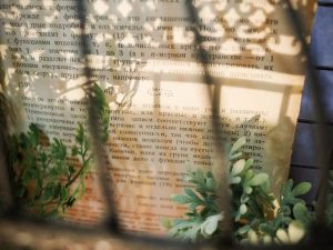 10708661 848258818538129 8333165118824345793 o