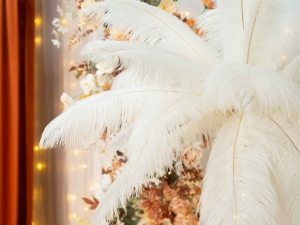 DSC00428 已增強 雜訊減少