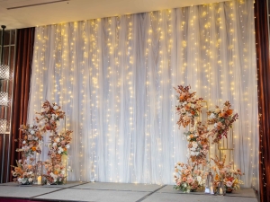 DSC00615 已增強 雜訊減少