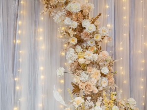 DSC00817 已增強 雜訊減少