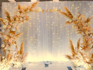 DSC00938 已增強 雜訊減少 1