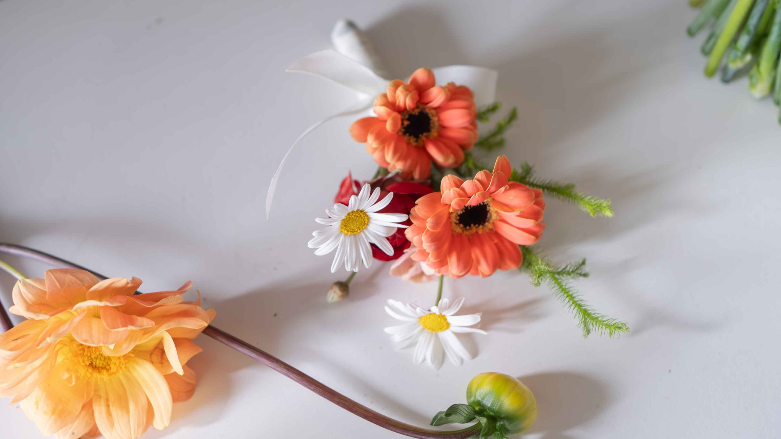 鮮花胸花 1 DSC01138 已增強 雜訊減少 scaled
