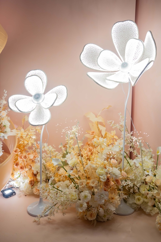 DSC01459 已增強 雜訊減少