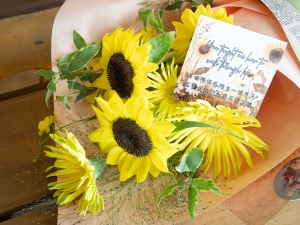 報紙包裝向日葵鮮花束