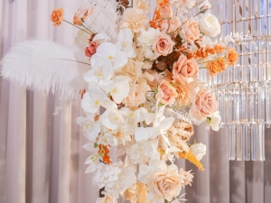 DSC03227 已增強 雜訊減少