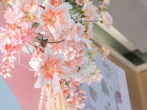 DSC03282 已增強 雜訊減少