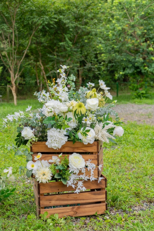 DSC03942 已增強 雜訊減少