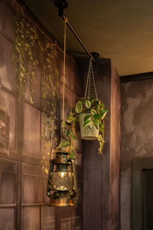 DSC04591 已增強 雜訊減少