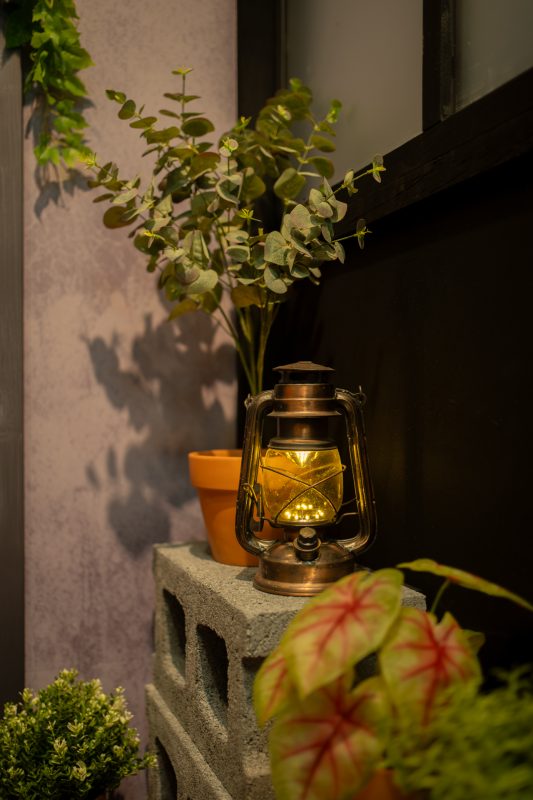 DSC04601 已增強 雜訊減少