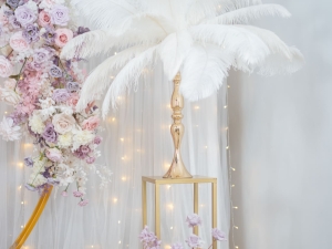 DSC04909 已增強 雜訊減少