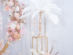 DSC05095 已增強 雜訊減少