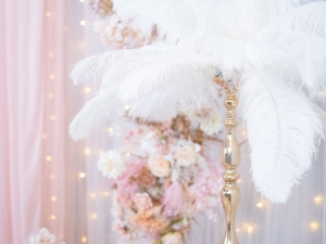 DSC05097 已增強 雜訊減少