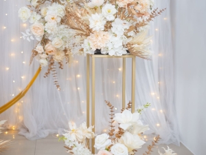 DSC05127 已增強 雜訊減少