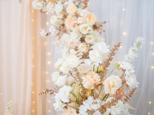 DSC05131 已增強 雜訊減少