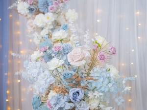 DSC05188 已增強 雜訊減少