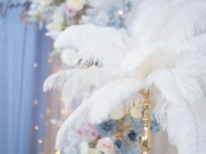 DSC05200 已增強 雜訊減少