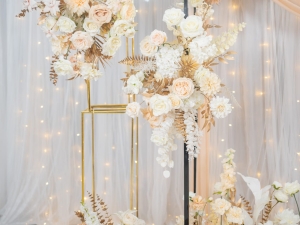 DSC05266 已增強 雜訊減少