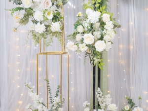 DSC05332 已增強 雜訊減少