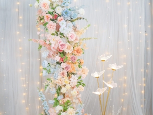 DSC05383 已增強 雜訊減少