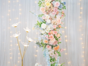 DSC05385 已增強 雜訊減少