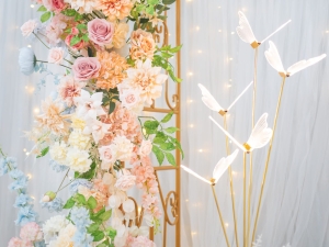 DSC05400 已增強 雜訊減少