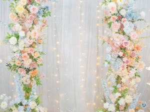 DSC05402 已增強 雜訊減少