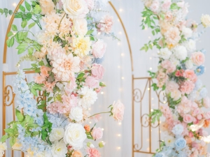 DSC05407 已增強 雜訊減少