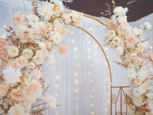 DSC05428 已增強 雜訊減少