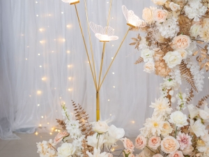 DSC05429 已增強 雜訊減少