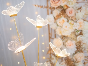 DSC05434 已增強 雜訊減少