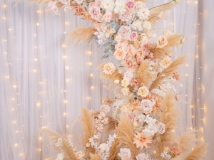 DSC05446 已增強 雜訊減少