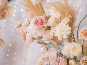 DSC05452 已增強 雜訊減少