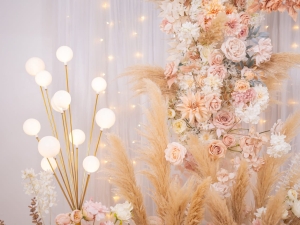 DSC05477 已增強 雜訊減少