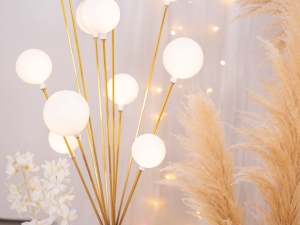 DSC05481 已增強 雜訊減少