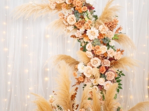 DSC05489 已增強 雜訊減少