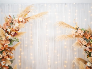 DSC05491 已增強 雜訊減少