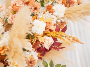 DSC05492 已增強 雜訊減少