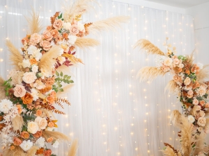 DSC05498 已增強 雜訊減少