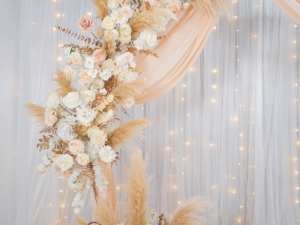 DSC05603 已增強 雜訊減少