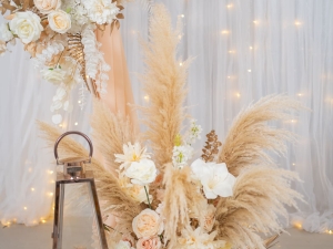 DSC05604 已增強 雜訊減少