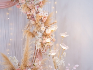 DSC05633 已增強 雜訊減少