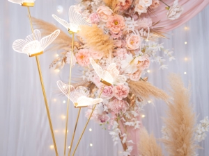 DSC05638 已增強 雜訊減少