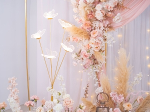 DSC05655 已增強 雜訊減少