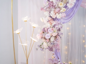 DSC05679 已增強 雜訊減少