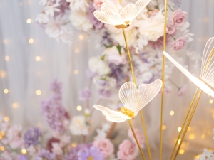 DSC05699 已增強 雜訊減少