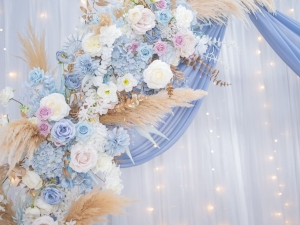 DSC05731 已增強 雜訊減少