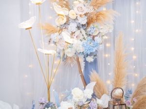 DSC05741 已增強 雜訊減少