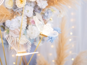 DSC05742 已增強 雜訊減少