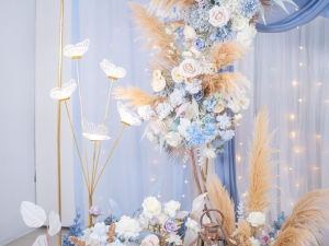 DSC05759 已增強 雜訊減少